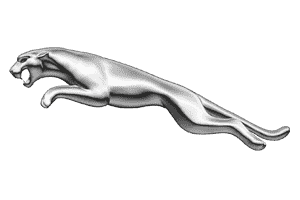 Jaguar Transmissions